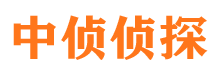 天河市私家侦探